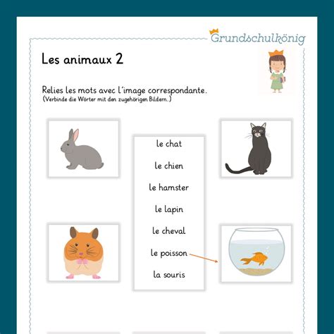 Königspaket Les Animaux Tiere Französisch In Der Grundschule