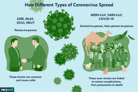 What Is Coronavirus Covid 19 Symptoms Diagnosis And Treatment
