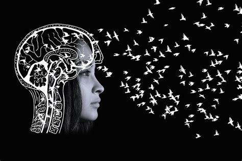 The Propensity To Hear Voices In Schizophrenia May Be Established By
