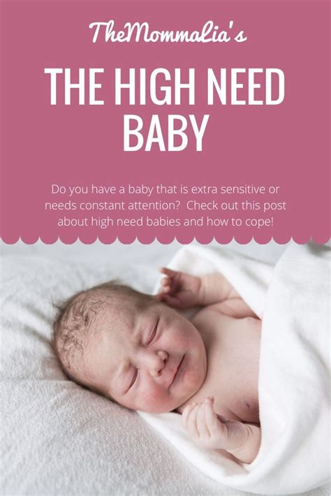 The High Need Baby High Needs Baby Newborn Needs Newborn Baby Care