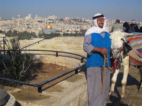 Man And Donkey In Jerusalem Man Donkey Biblical
