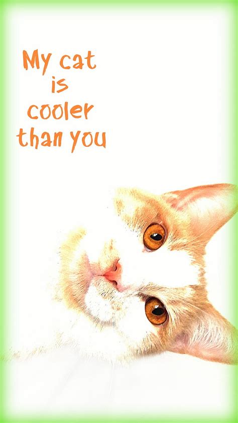 Cooler Than You Cool Cat Face Fun Funny Kitty Light Lol My Cat