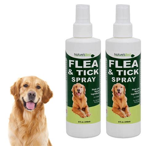 Best Flea And Tick Protection For Dogs