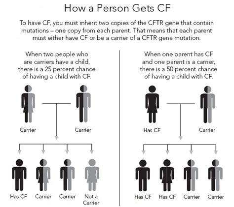 Carrier Testing For Cystic Fibrosis Cystic Fibrosis Foundation