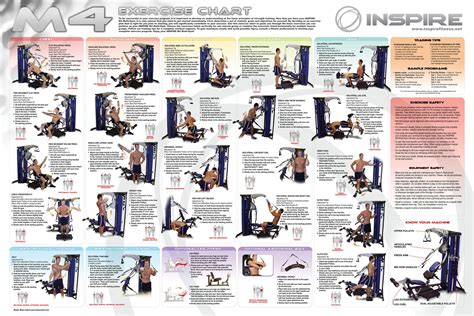 Weider Home Gym Exercise Guide