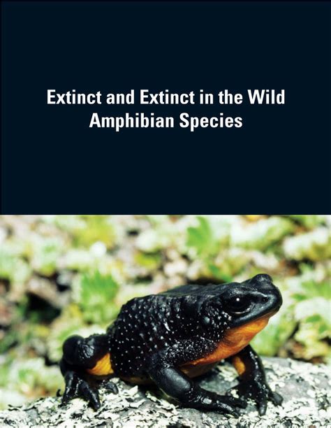 Extinct And Extinct In The Wild Amphibian Species 136 Threatened