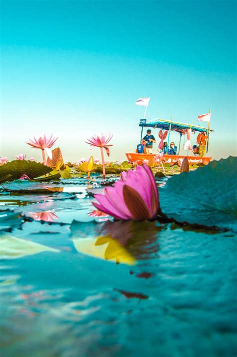 How To See The Red Lotus Lake In Udon Thani Mini Guide Travel On