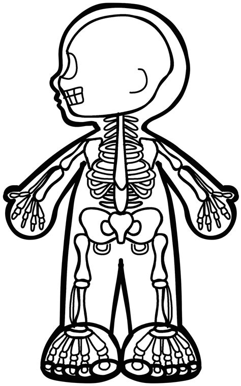 Ejercicio Interactivo De El Esqueleto Humano Pdmrea
