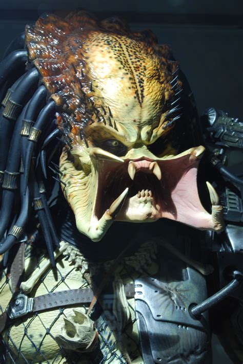 Share your #predatorface selfies and we will retweet the best ones. Predator choking a bitch.