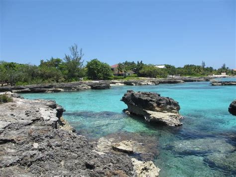 Smith Cove Grand Cayman 2020 What To Know Before You Go With