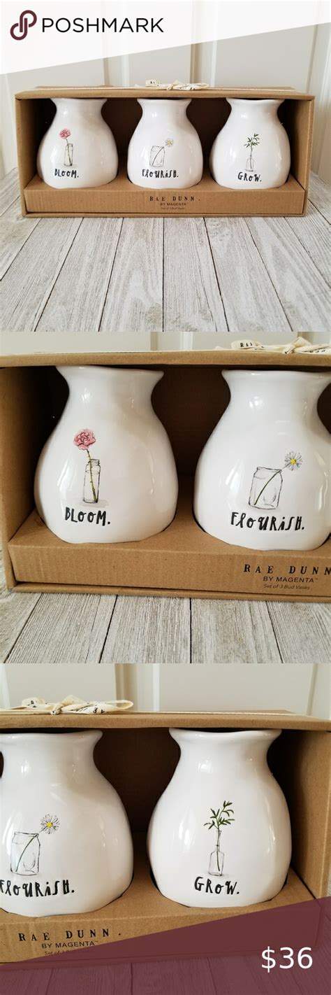 Rae Dunn Bloom Flourish Grow Bulb Vase Set Vase Set Bulb Vase Dunn