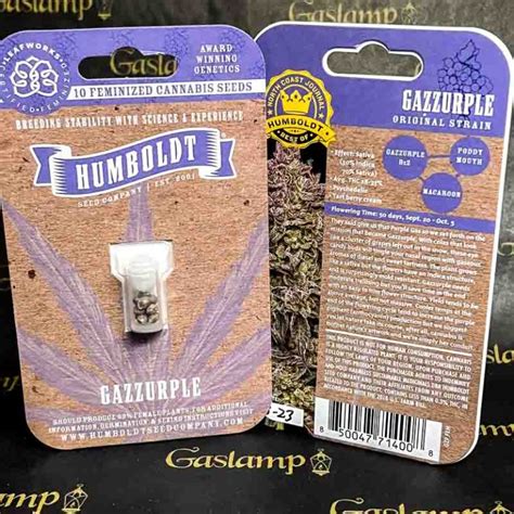 Humboldt Seed Company Gazzurple 10 Feminized Seeds Gaslamp Seeds