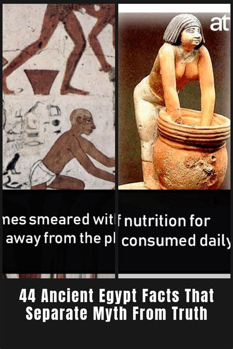 44 ancient egypt facts that separate myth from truth funny memes about girls funny moments