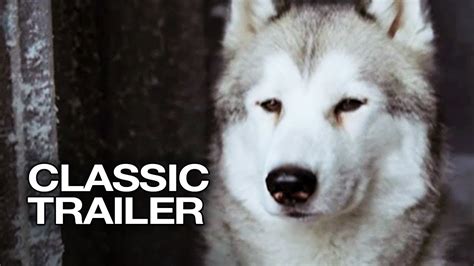 Stranded in antarctica during the most unforgiving winter on the planet, jerry's beloved sled dogs must learn to survive together until jerry — who will stop at nothing — rescues them. Eight Below (2006) Official Trailer #1 - Paul Walker Movie ...
