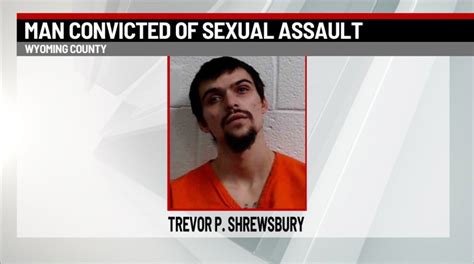 wyoming county man pleads guilty to sexual assault