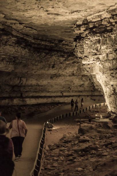 140 Parque Nacional De Mammoth Cave Fotos De Stock Imagens E Fotos