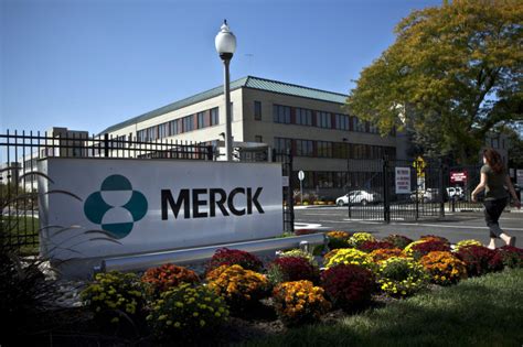 Merck Recall 22000 Antibiotic Vials Pulled Off Shelves Over Presence