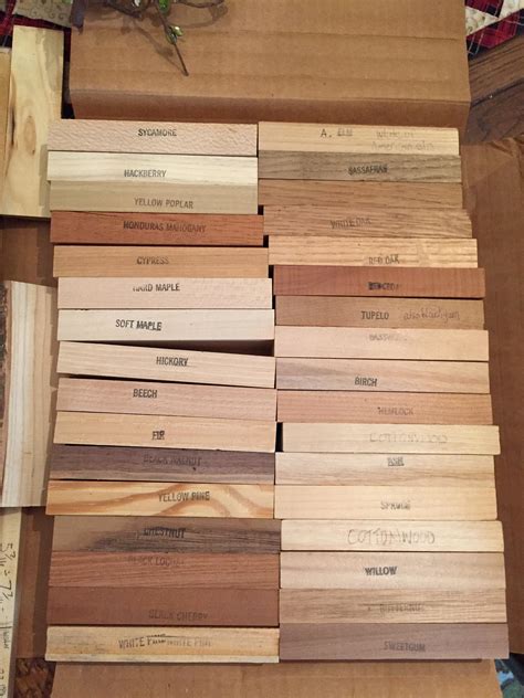 This Box Of Samples Used To Practice Identifying Wood Mildlyinteresting