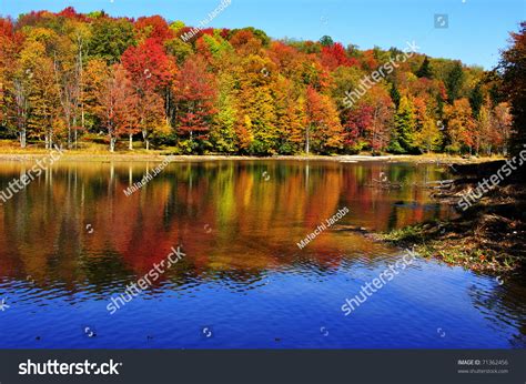 Fall Color Summit Lake Monongahela National Stock Photo 71362456