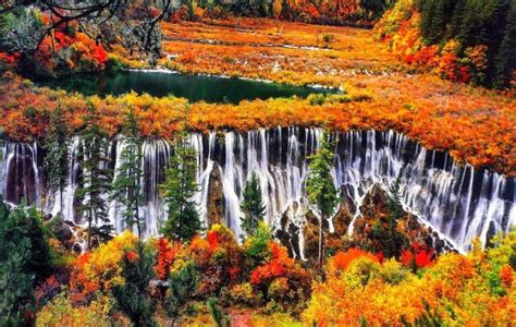 10 Most Breathtakingly Beautiful Forests Of The World