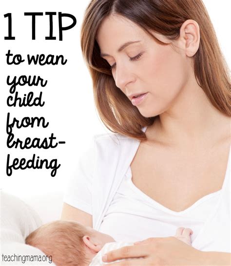 1 Tip To Wean Your Child From Breastfeeding Breastfeeding Weaning
