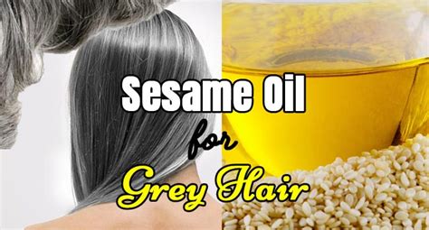 By using sesame oil daily and massaging it into the scalp and hair root, you can effectively treat symptoms of dandruff. Sesame Oil for Grey Hair - Remedies Lore