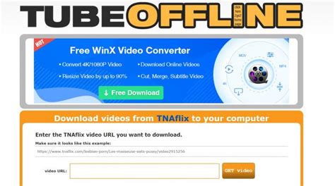 Top 10 Best Tnaflix Downloaders To Watch Tnaflix Videos Offline