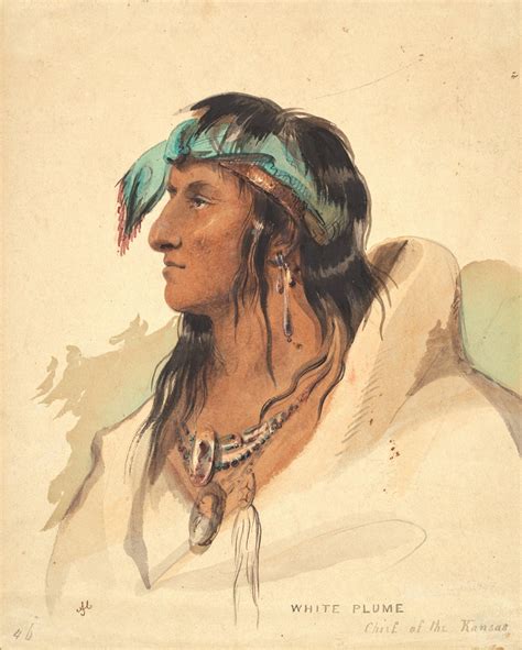 White Plume Chief Of The Kansas Alfred Jacob Miller Gilcrease Museum