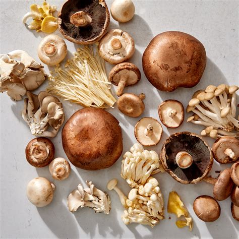 A Guide To Types Of Mushrooms Extra Helpings