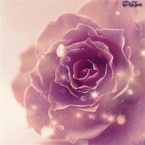 Pink Pfp Amazing Roses Animated Gifs At Best Animations My Xxx