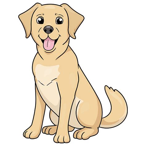 How To Draw A Labrador Really Easy Drawing Tutorial