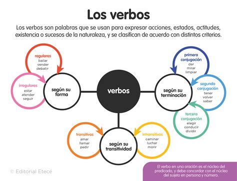 100 Ejemplos De Verbos Regulares En Español