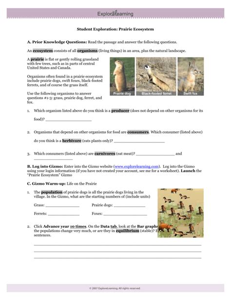 I add some additional explanation and i'm doing this lab for the first time.which may possibly be noticeable. Gizmo Worksheet Answers | Kids Activities
