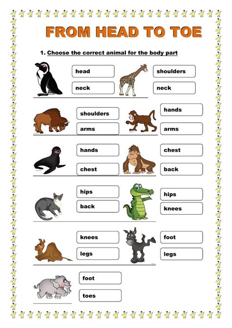 From Head To Toe. Body parts and actions worksheet