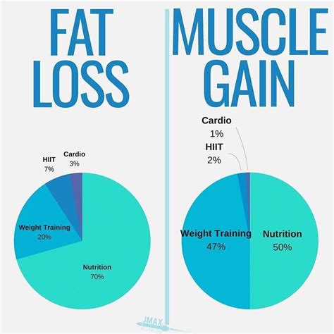 Build Muscle Fat Loss Vs Muscle Gain By Jason Maxwell They Say