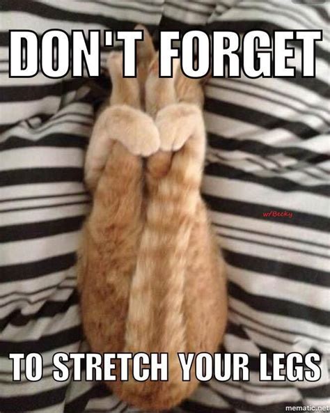 Gym Humor Stretch Your Legs Funny Mma Workout Partner Workout Workout Memes Gym Memes Gym