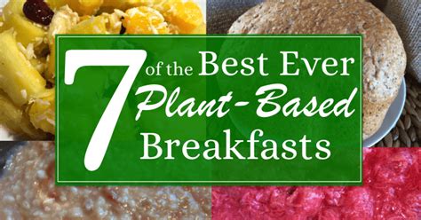 Avoid animal products such as meat, fish, eggs, and dairy. 7 of the best ever plant-based breakfasts