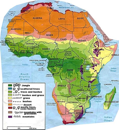Vegetation zones of west africa ppt video online download. Vegetation Map