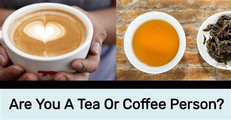 The book depicts the anecdotal lives of two lusty young stewardesses, and was originally presented as factual. Are You A Tea Or Coffee Person? | QuizDoo