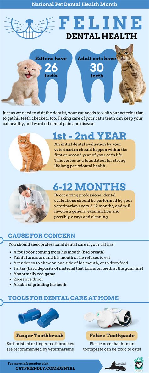 Pet Health Month Focus On Cats Grady Veterinary Hospital Grady
