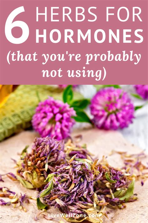 hormone balance is essential for healthy fertility and when trying to conceive these 6 herbs