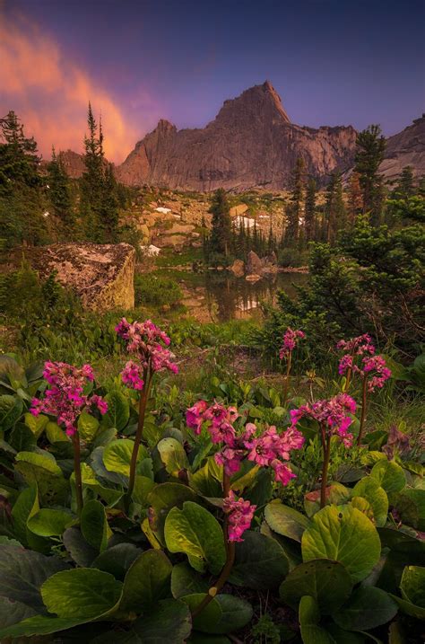 Pin By James Page On Flowers Summer Landscape Scenery Beautiful Nature