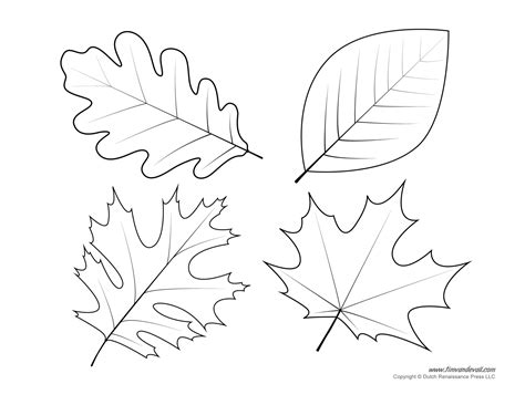 Leaf Templates And Leaf Coloring Pages For Kids Leaf Printables Tims