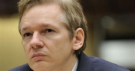 wikileaks founder julian assange should ve returned to sweden to clear name mirror