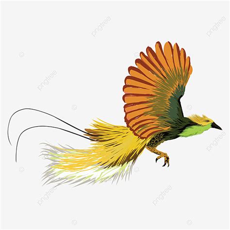 Birds Of Paradise Vector Hd Png Images Bird Of Paradise Vector Image