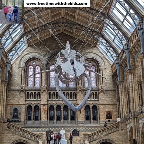 Natural History Museum Review Free Time With The Kids