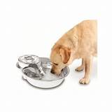 Photos of Stainless Steel Drinking Fountain For Cats