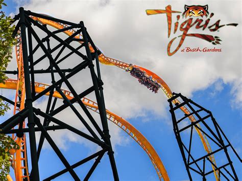 A fox that turned out to be rabid bit a child at busch gardens, williamsburg. Busch Gardens Tampa reveals ride plans for 2019/20 - InterPark