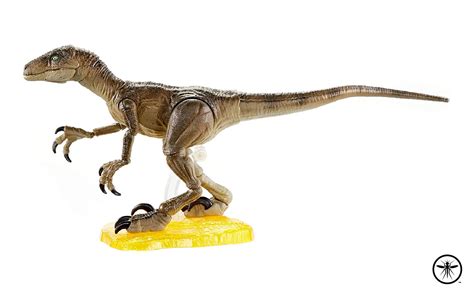 Velociraptor Jurassic Report