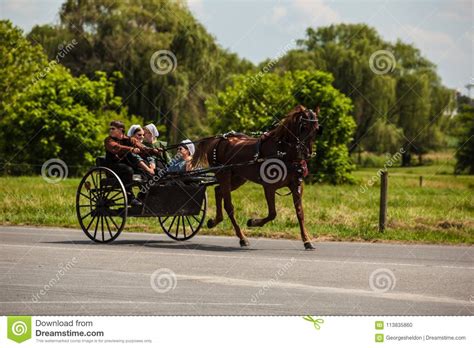 Amish Driving Two Wheel Horse Buggy Editorial Image Image Of County